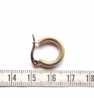 Stainless steel oorring textured small goud 16mm (per paar)