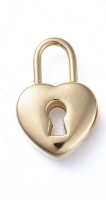 Stainless steel hart slot bedel goud 19,5x13mm