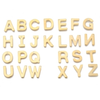 Stainless steel letter bedel goud 6-12x11mm