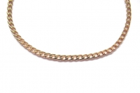 Stainless steel curb armband goud met karabijn sluiting 4x2mm (21cm)