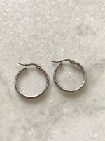 Stainless steel Pretty hoops mix zilver 25mm (9 paar)