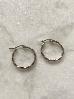 Stainless steel Pretty hoops mix zilver 25mm (9 paar)