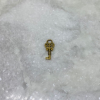 Gouden sleutel bedel 8x18mm (68 stuks)