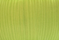 Limegroen organza lint 6 mm