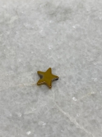 Hematiet ster goud plated 10x10mm (10 stuks)