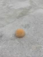 Pompom peach 13mm (46 stuks)