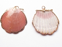 Rose goud plated rood/roze waaier schelp bedel 4.2cmx3.8cm (4 stuks)
